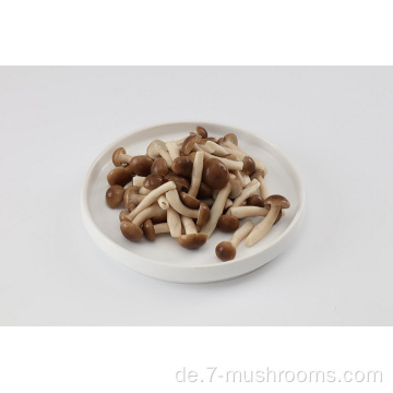 Gefrorene frisch geschnittene Buche-Mushroom-950g